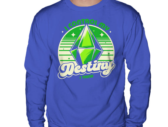 Video Game Destiny