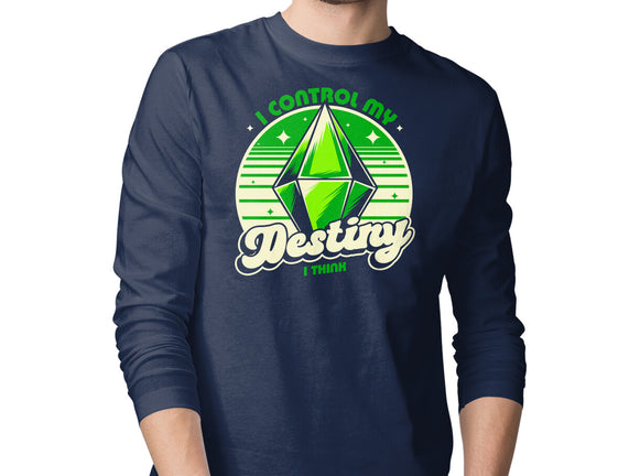 Video Game Destiny