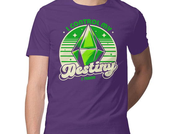 Video Game Destiny