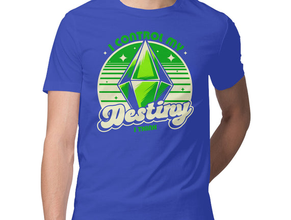 Video Game Destiny