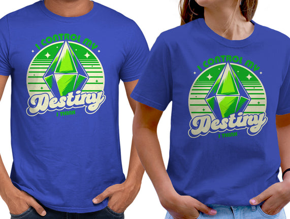 Video Game Destiny