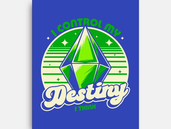 Video Game Destiny
