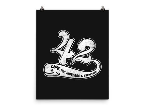 Whale 42