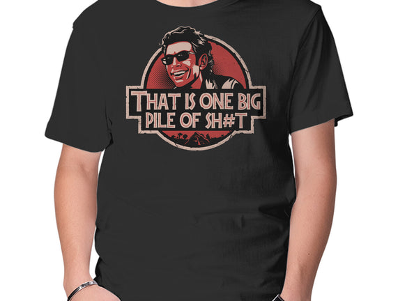Big Pile Of
