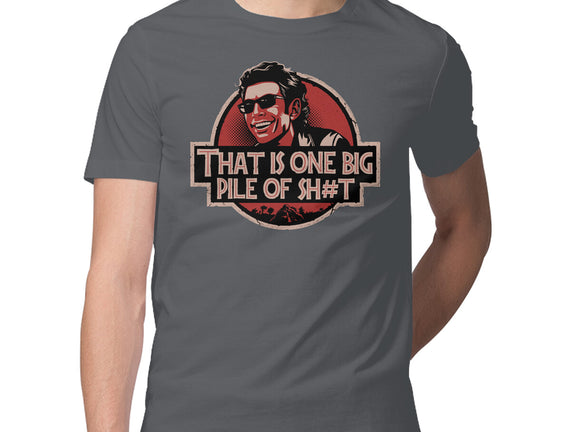 Big Pile Of