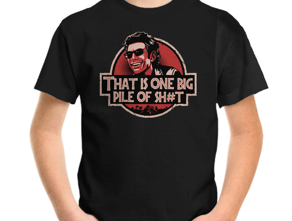 Big Pile Of