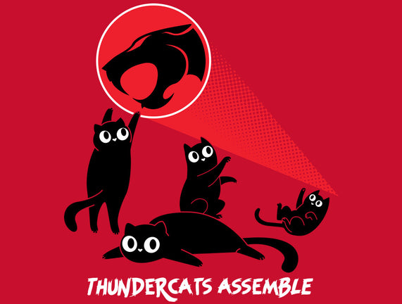 Cats Assemble