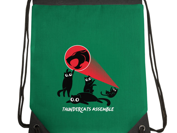 Cats Assemble