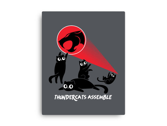 Cats Assemble