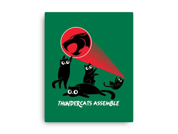 Cats Assemble