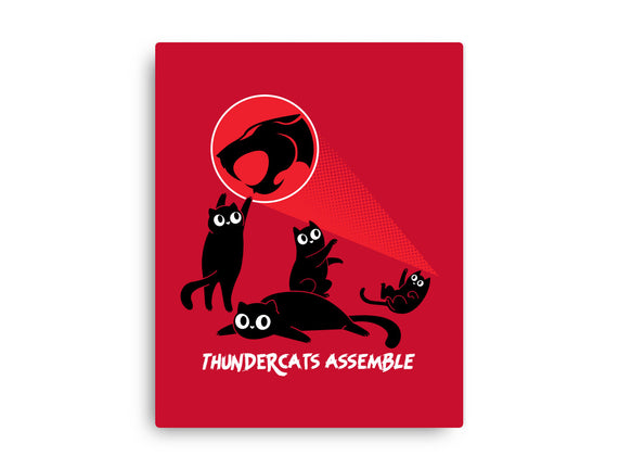 Cats Assemble