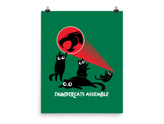 Cats Assemble