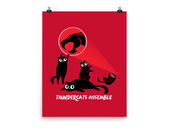 Cats Assemble