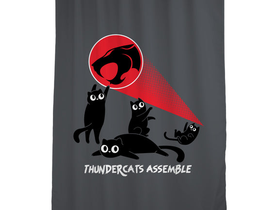 Cats Assemble