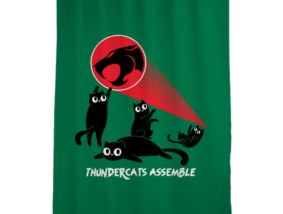 Cats Assemble
