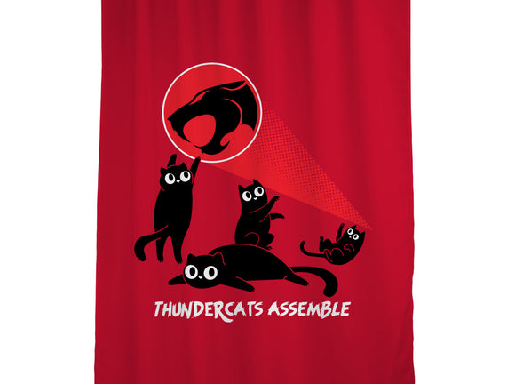 Cats Assemble