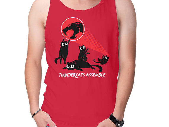 Cats Assemble