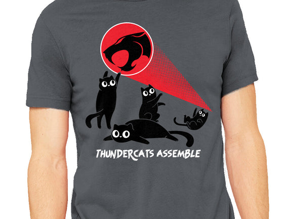 Cats Assemble