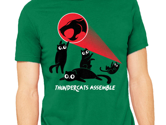 Cats Assemble