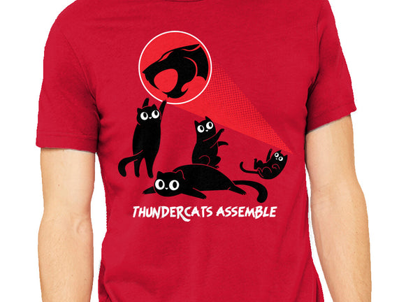 Cats Assemble