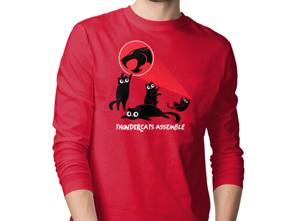 Cats Assemble