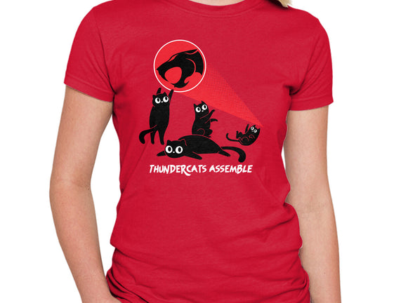 Cats Assemble