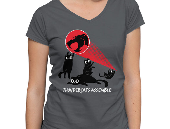 Cats Assemble
