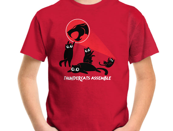 Cats Assemble