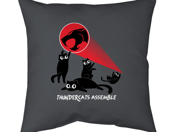Cats Assemble