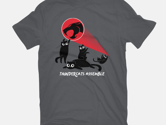 Cats Assemble
