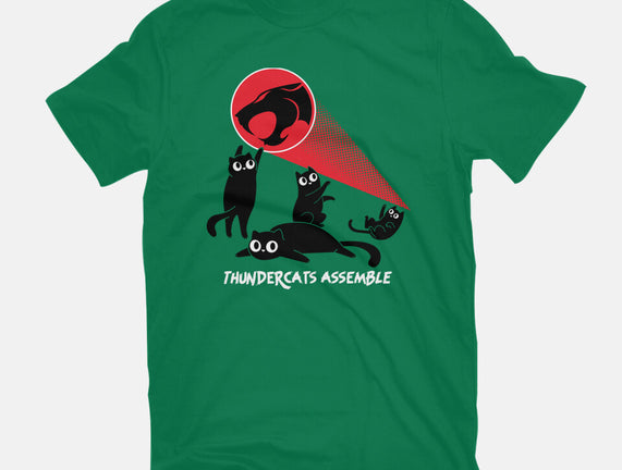 Cats Assemble