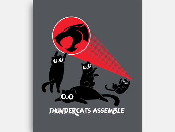 Cats Assemble