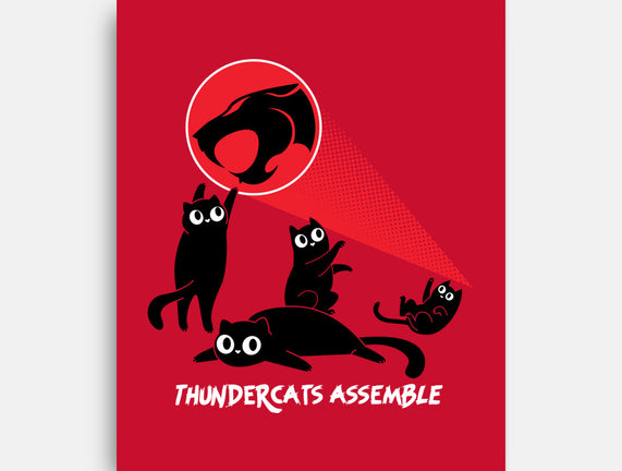Cats Assemble