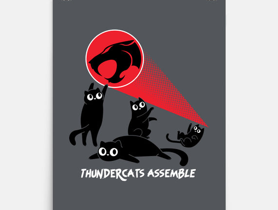 Cats Assemble