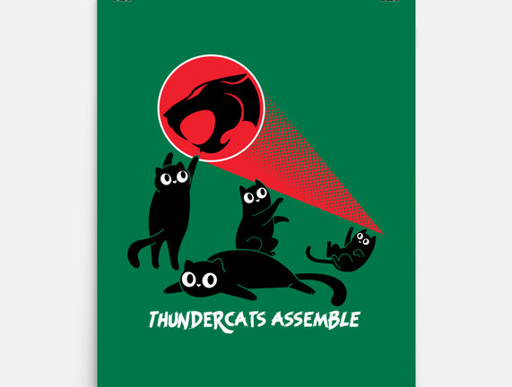 Cats Assemble