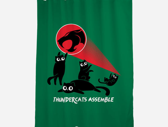 Cats Assemble