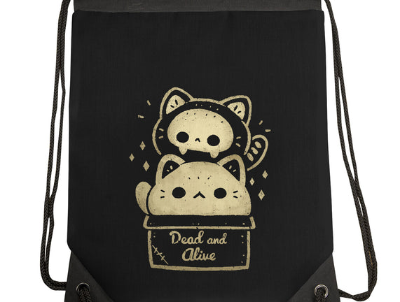 Creepy Kawaii Schrodingers Cat