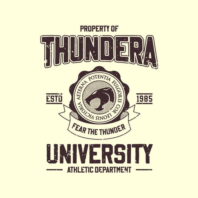 Thundera University-Unisex-Basic-Tank-retrodivision