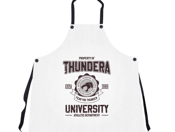 Thundera University