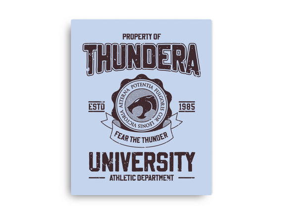 Thundera University
