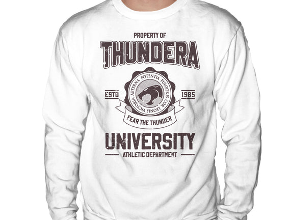 Thundera University