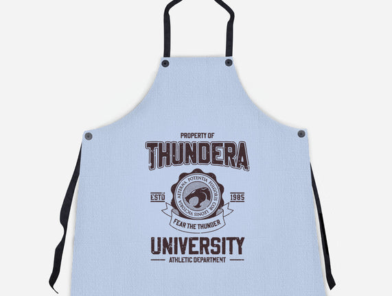 Thundera University