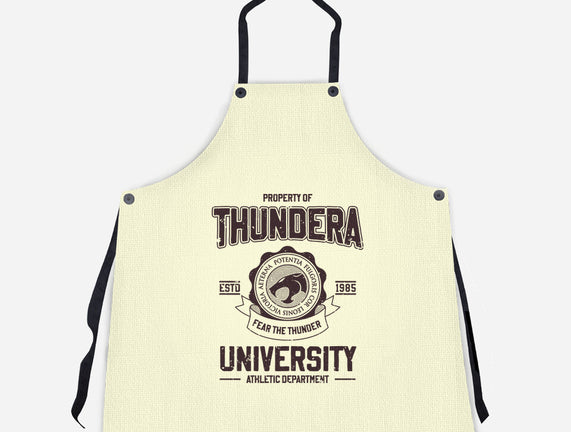 Thundera University