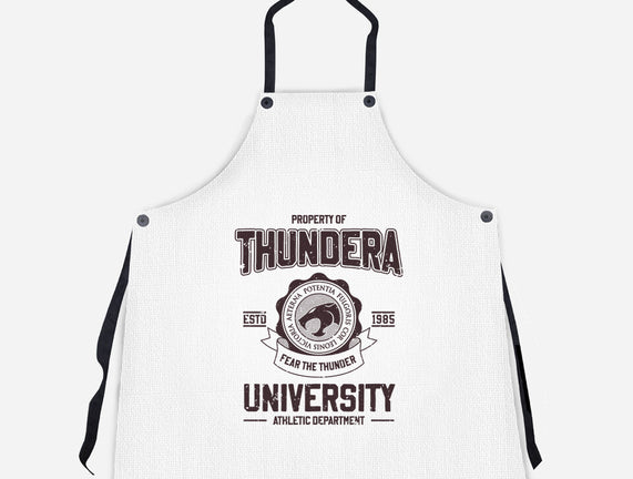 Thundera University