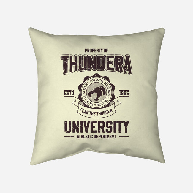 Thundera University-None-Removable Cover w Insert-Throw Pillow-retrodivision
