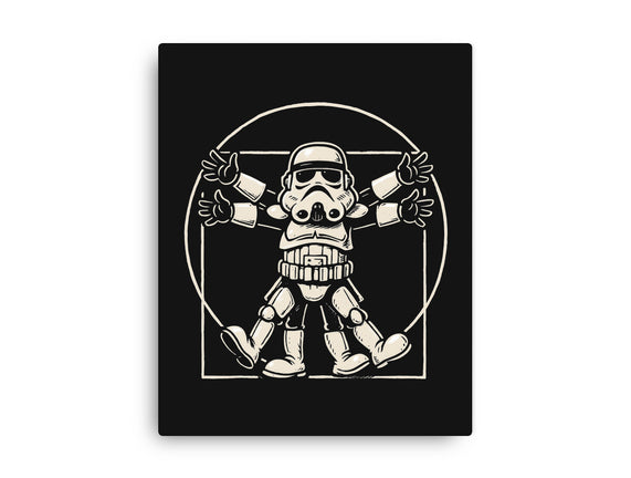 Vitruvian Stormtrooper