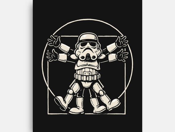 Vitruvian Stormtrooper
