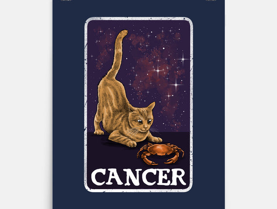 Cancer Cat