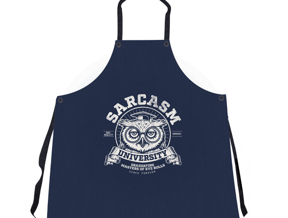 Sarcasm University