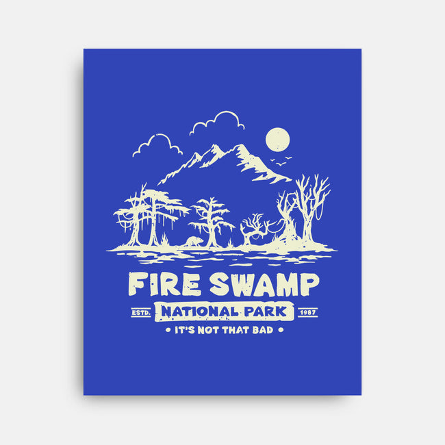 Fire Swamp National Park-None-Stretched-Canvas-retrodivision